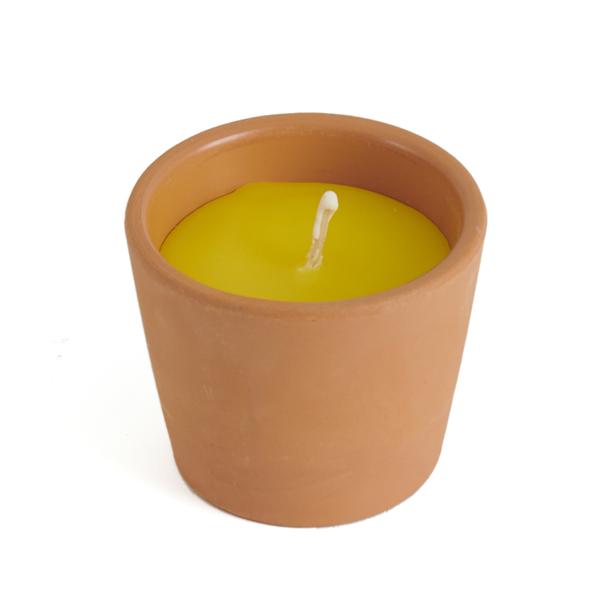 Q-Art Citronella Mum