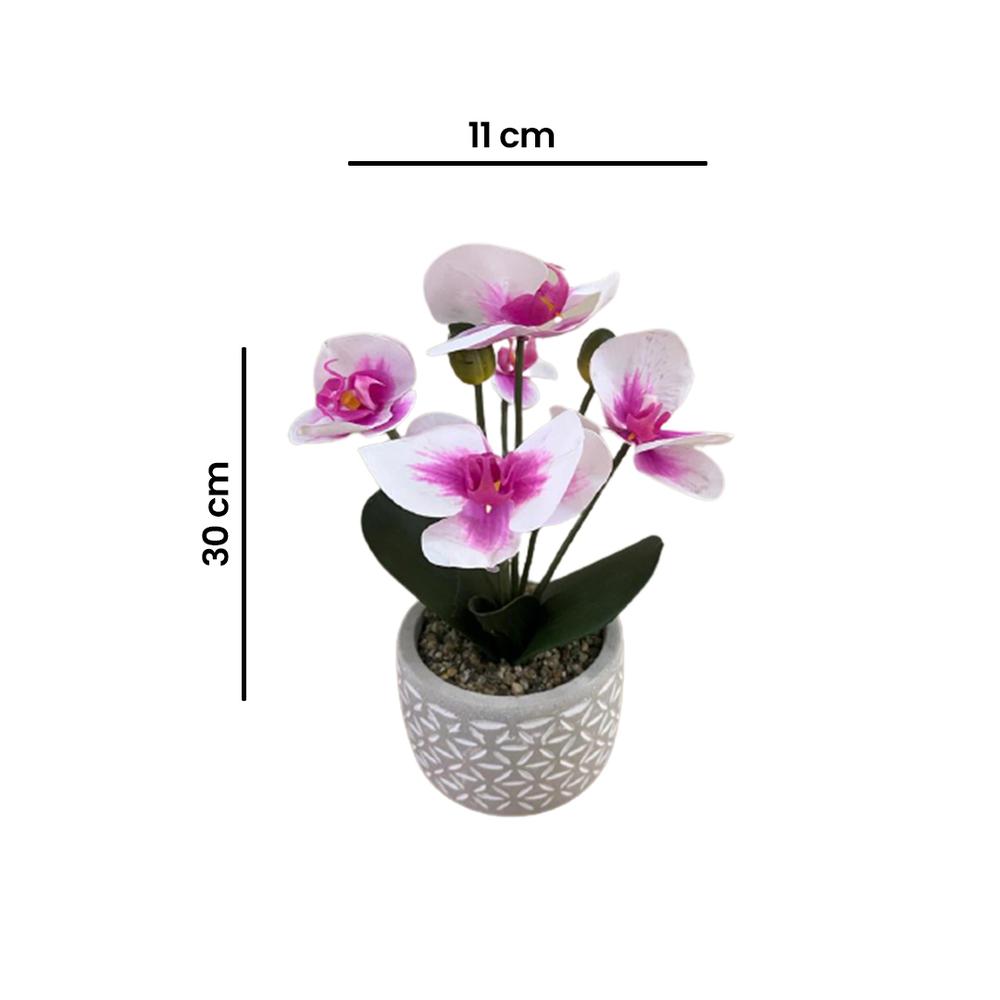  Objevi Soft Orkide - Pembe / Beyaz