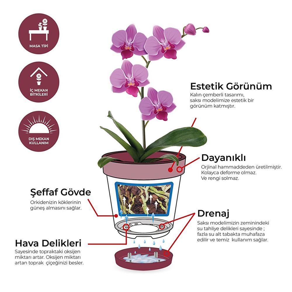  Plastik Dünyası Orkide Saksısı - 1,4 lt.